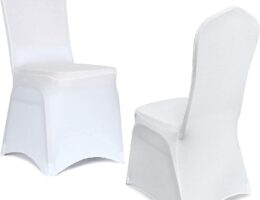 HomiShare 2 Piece Chair Covers